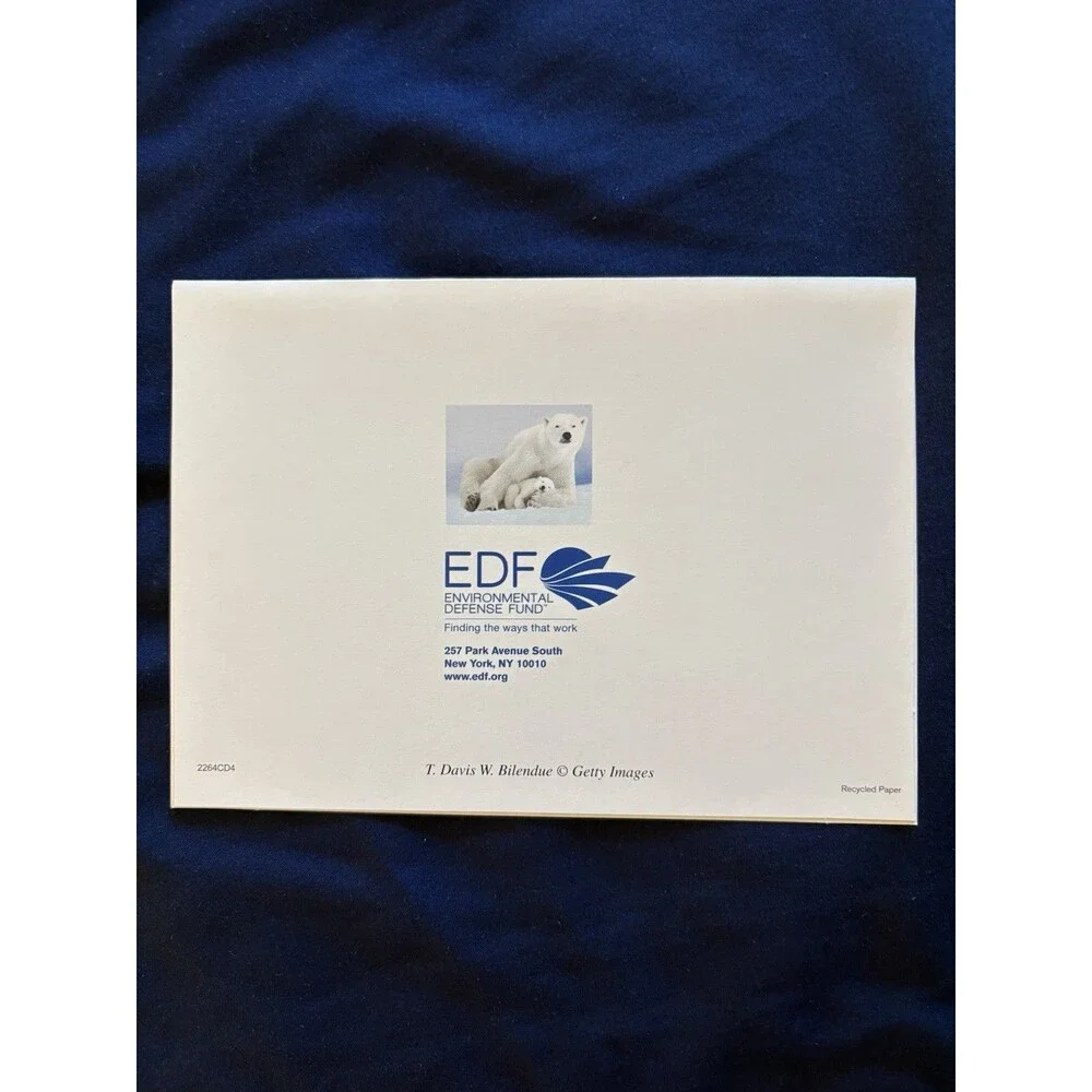 Generic Card with White Envelope and Blank Interior | Polar Bears design by EDF